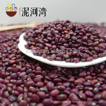 Bulk dark red kindey bean for sale pulses